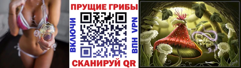 Псилоцибиновые грибы Psilocybine cubensis  Купить  Ливны 